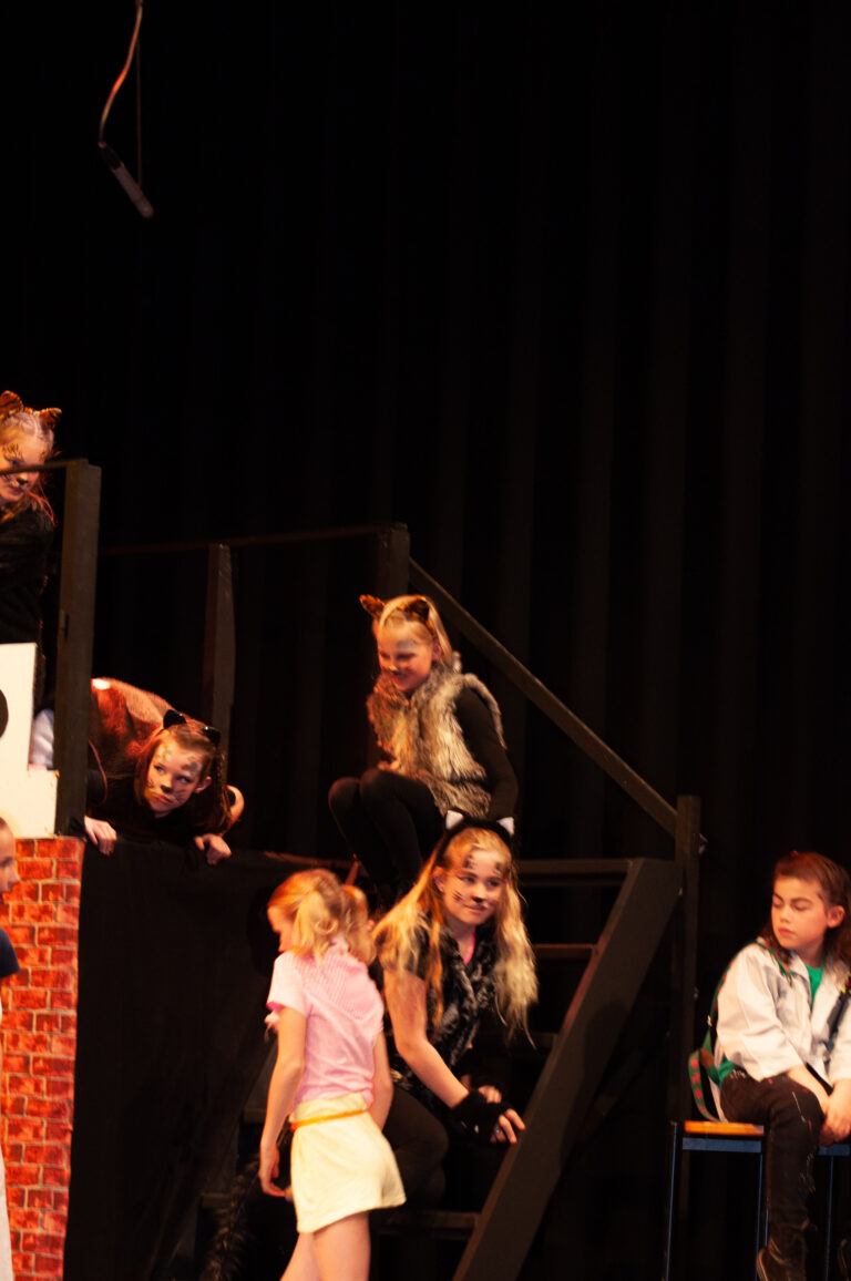 19-05-2019 - Musical Op De Markt Is Altijd Wat- 062